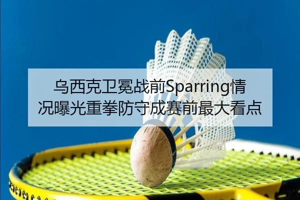 乌西克卫冕战前Sparring情况曝光重拳防守成赛前最大看点